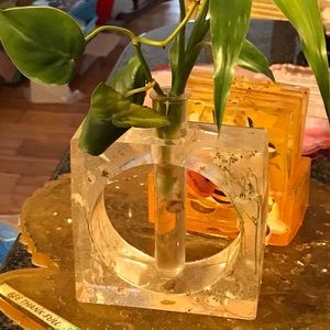 Plant & Cuttings Propagation Station - Watch plants growing their root systems!